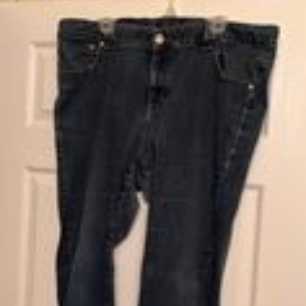Lane Bryant Jeggings